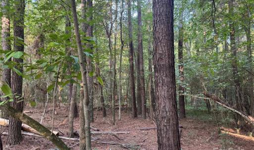 Photo #9 of 106 Serenity Creek, Waxhaw, NC