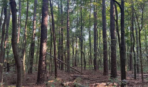 Photo #15 of 106 Serenity Creek, Waxhaw, NC