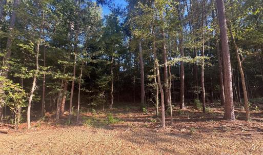 Photo #7 of 106 Serenity Creek, Waxhaw, NC