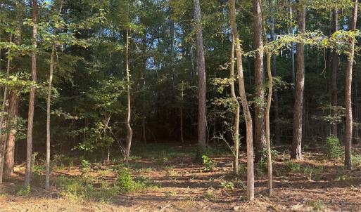 Photo #8 of 106 Serenity Creek, Waxhaw, NC