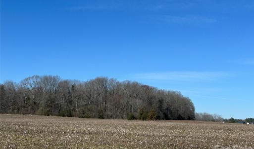 Photo #29 of 62 Ac Bridgewater, Rock Hill, SC