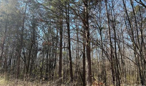 Photo #26 of 62 Ac Bridgewater, Rock Hill, SC