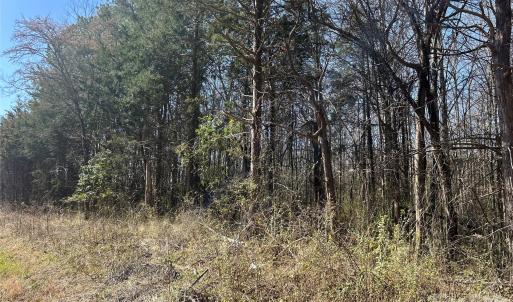 Photo #23 of 62 Ac Bridgewater, Rock Hill, SC