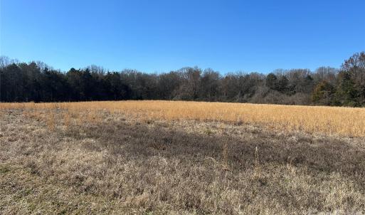 Photo #6 of 62 Ac Bridgewater, Rock Hill, SC