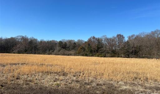 Photo #8 of 62 Ac Bridgewater, Rock Hill, SC