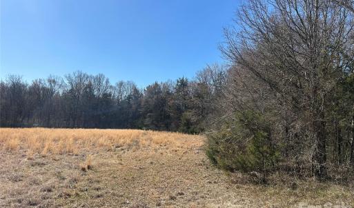 Photo #10 of 62 Ac Bridgewater, Rock Hill, SC