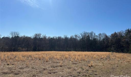 Photo #11 of 62 Ac Bridgewater, Rock Hill, SC