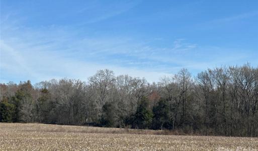 Photo #41 of 62 Ac Bridgewater, Rock Hill, SC