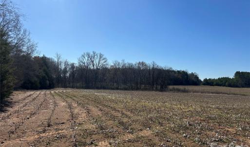 Photo #16 of 62 Ac Bridgewater, Rock Hill, SC