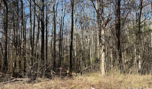 Photo #24 of 62 Ac Bridgewater, Rock Hill, SC