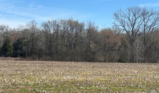 Photo #43 of 62 Ac Bridgewater, Rock Hill, SC