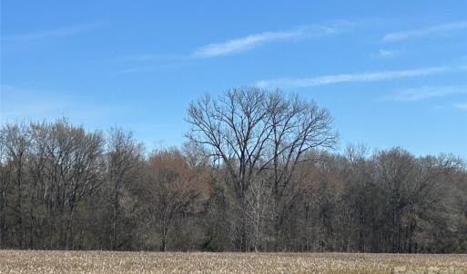 Photo #40 of 62 Ac Bridgewater, Rock Hill, SC