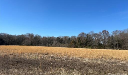 Photo #5 of 62 Ac Bridgewater, Rock Hill, SC