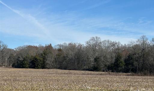 Photo #42 of 62 Ac Bridgewater, Rock Hill, SC