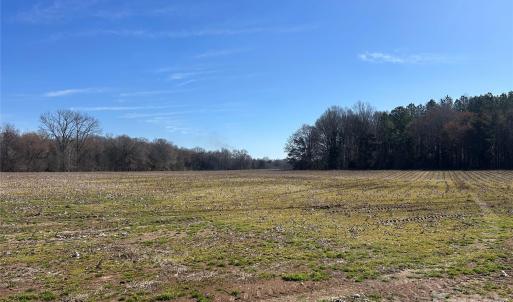 Photo #39 of 62 Ac Bridgewater, Rock Hill, SC