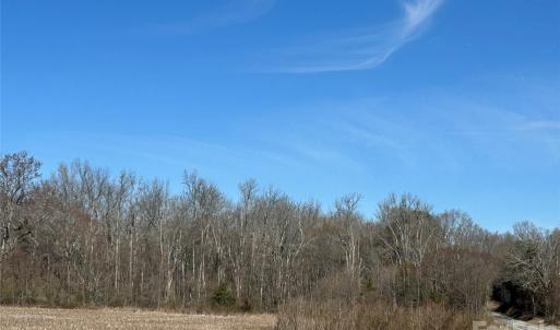 Photo #31 of 62 Ac Bridgewater, Rock Hill, SC