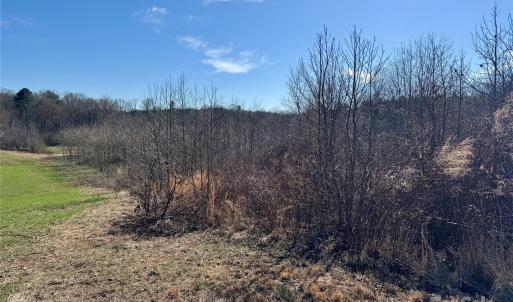 Photo #4 of HIGHWAY 74, Peachland, NC