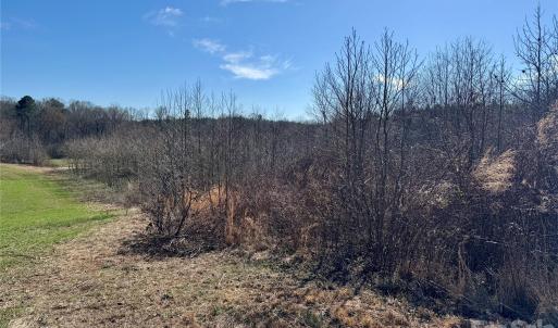 Photo #4 of HIGHWAY 74, Peachland, NC