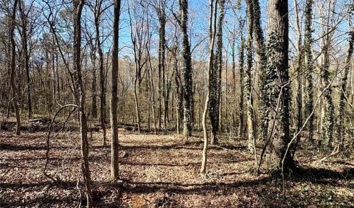 Photo #3 of 1417 Ellis Griffin, Wingate, NC