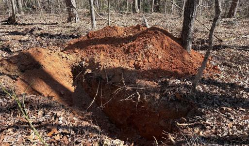 Photo #6 of 1417 Ellis Griffin, Wingate, NC