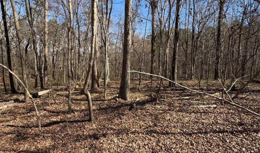 Photo #13 of 1417 Ellis Griffin, Wingate, NC