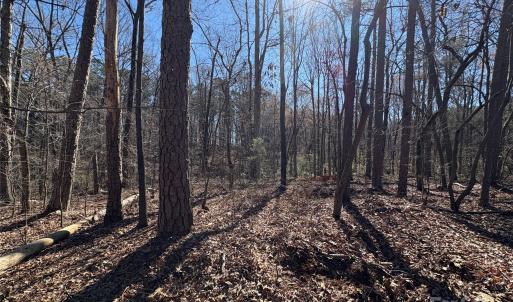 Photo #8 of 1417 Ellis Griffin, Wingate, NC