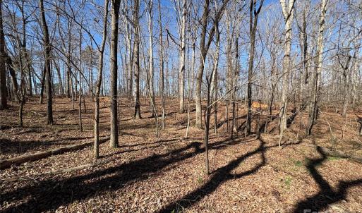 Photo #10 of 1417 Ellis Griffin, Wingate, NC