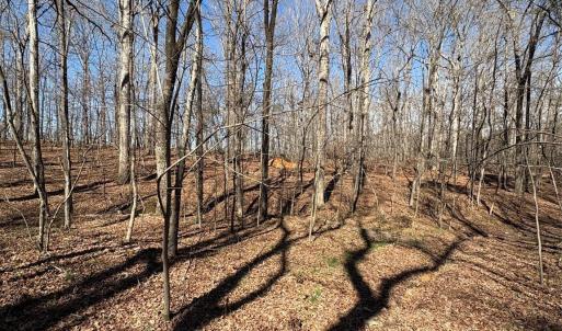 Photo #12 of 1417 Ellis Griffin, Wingate, NC