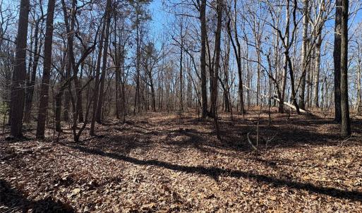 Photo #7 of 1417 Ellis Griffin, Wingate, NC