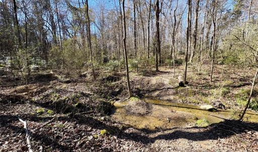 Photo #5 of 1417 Ellis Griffin, Wingate, NC