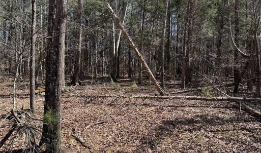 Photo #2 of 1905 Bechtler, Edgemoor, SC