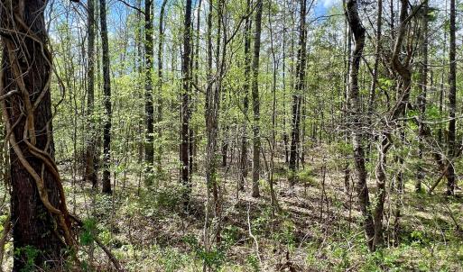 Photo #8 of 03 Pineview Court, Lancaster, SC