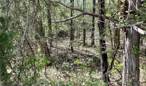 Photo #7 of 03 Pineview Court, Lancaster, SC