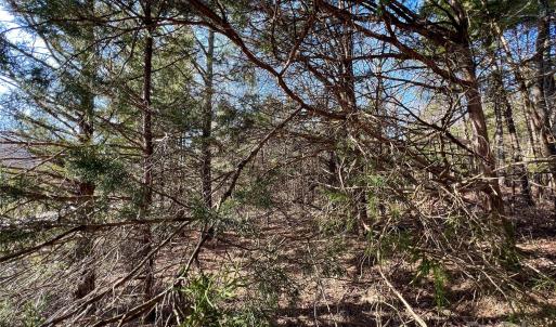 Photo #4 of 03 Pineview Court, Lancaster, SC