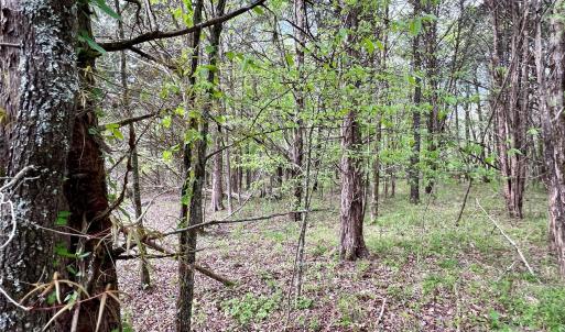 Photo #6 of 03 Pineview Court, Lancaster, SC