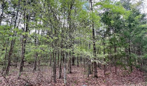 Photo #5 of 03 Pineview Court, Lancaster, SC