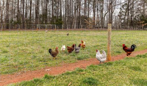 Photo #8 of 6399 Alexander, Concord, NC