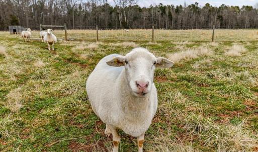 Photo #5 of 6399 Alexander, Concord, NC