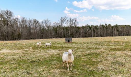Photo #9 of 6399 Alexander, Concord, NC