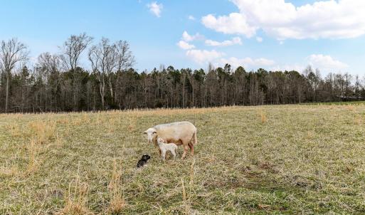 Photo #10 of 6399 Alexander, Concord, NC