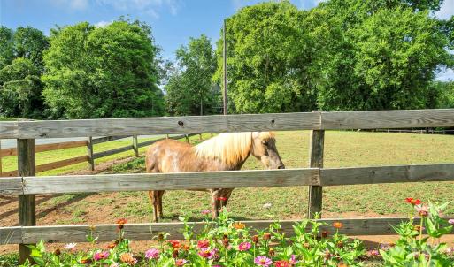 Photo #45 of 1900 Monterosa, Concord, NC