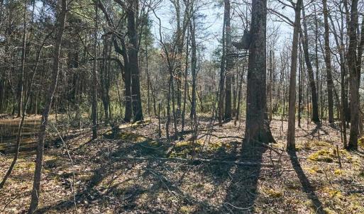 Photo #9 of Hartsell, Albemarle, NC