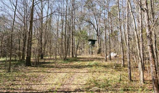 Photo #17 of Hartsell, Albemarle, NC