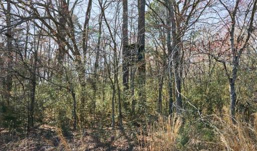 Photo #8 of Hartsell, Albemarle, NC