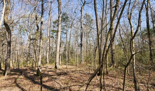 Photo #20 of Hartsell, Albemarle, NC