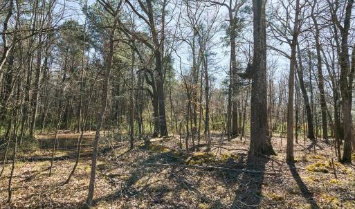 Photo #10 of Hartsell, Albemarle, NC