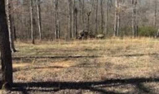 Photo #5 of 1639 +1643 Mallard Bay, York, SC