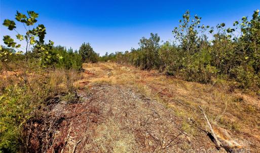 Photo #9 of Todd Quarter, Waterloo, SC