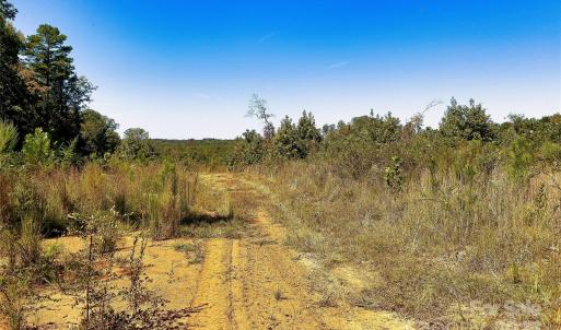 Photo #8 of Todd Quarter, Waterloo, SC