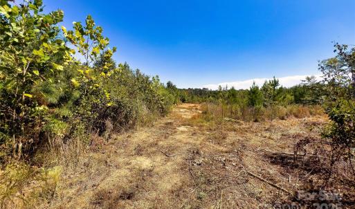 Photo #11 of Todd Quarter, Waterloo, SC